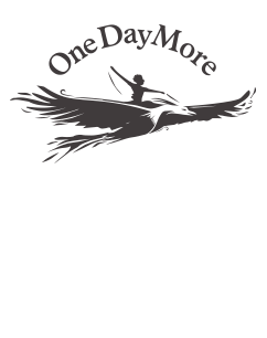 Masz 366 dni