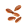 Nasiona siemienia lnianego